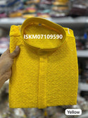 Men's Chikankari Rayon Kurta-ISKM07109590